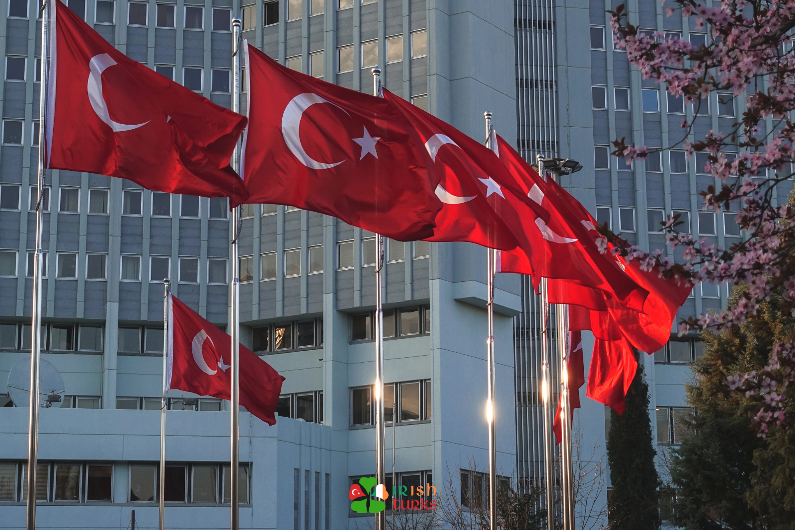 Yurt Dışında Çalışacak Memur Alımı