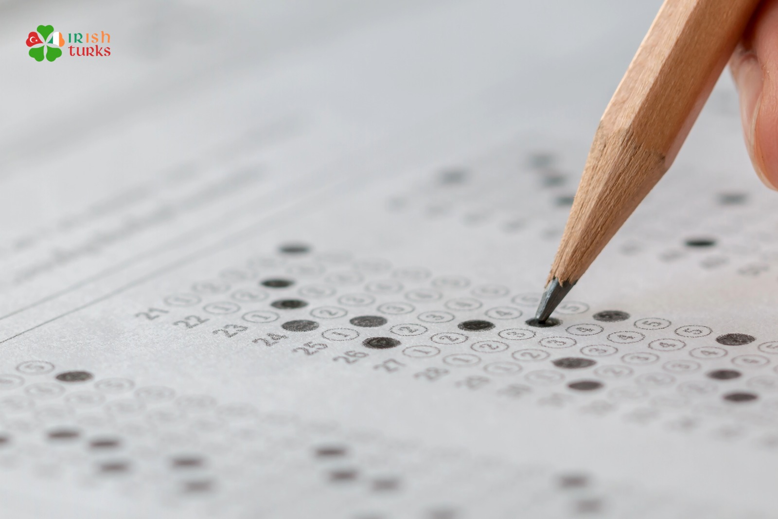 Leaving Cert Sınavında Türkçe Dil Sınavı Kampanyası