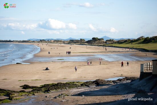Blue Flag Beaches in Ireland 2026
